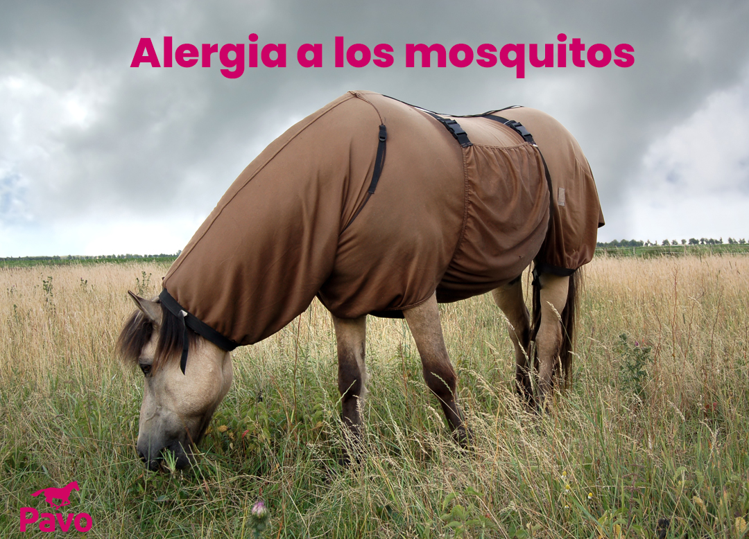 Alergia a los mosquitos