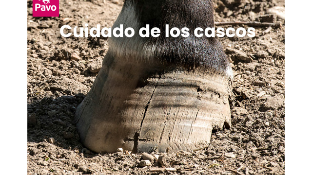 Ballistol: El Aceite Mágico Que Cree Tu Caballo Que Tiene Súper Poderes