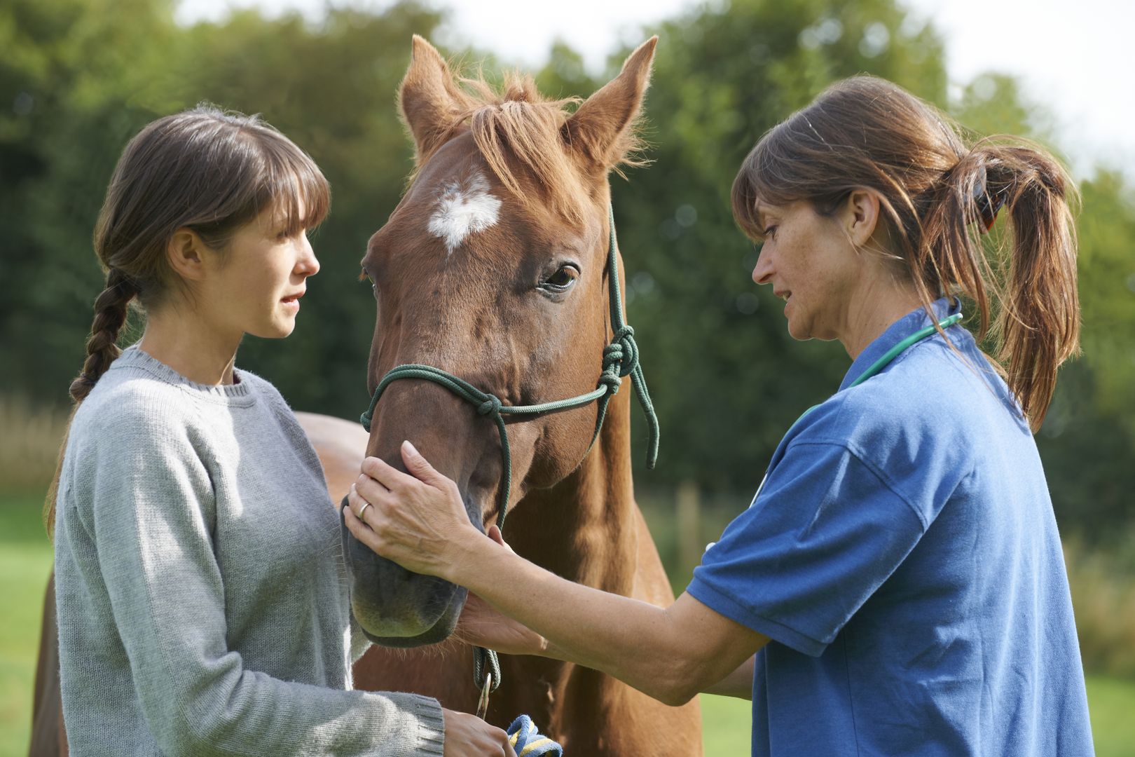 La mayoría de los caballos con paperas necesitarán tratamiento veterinario